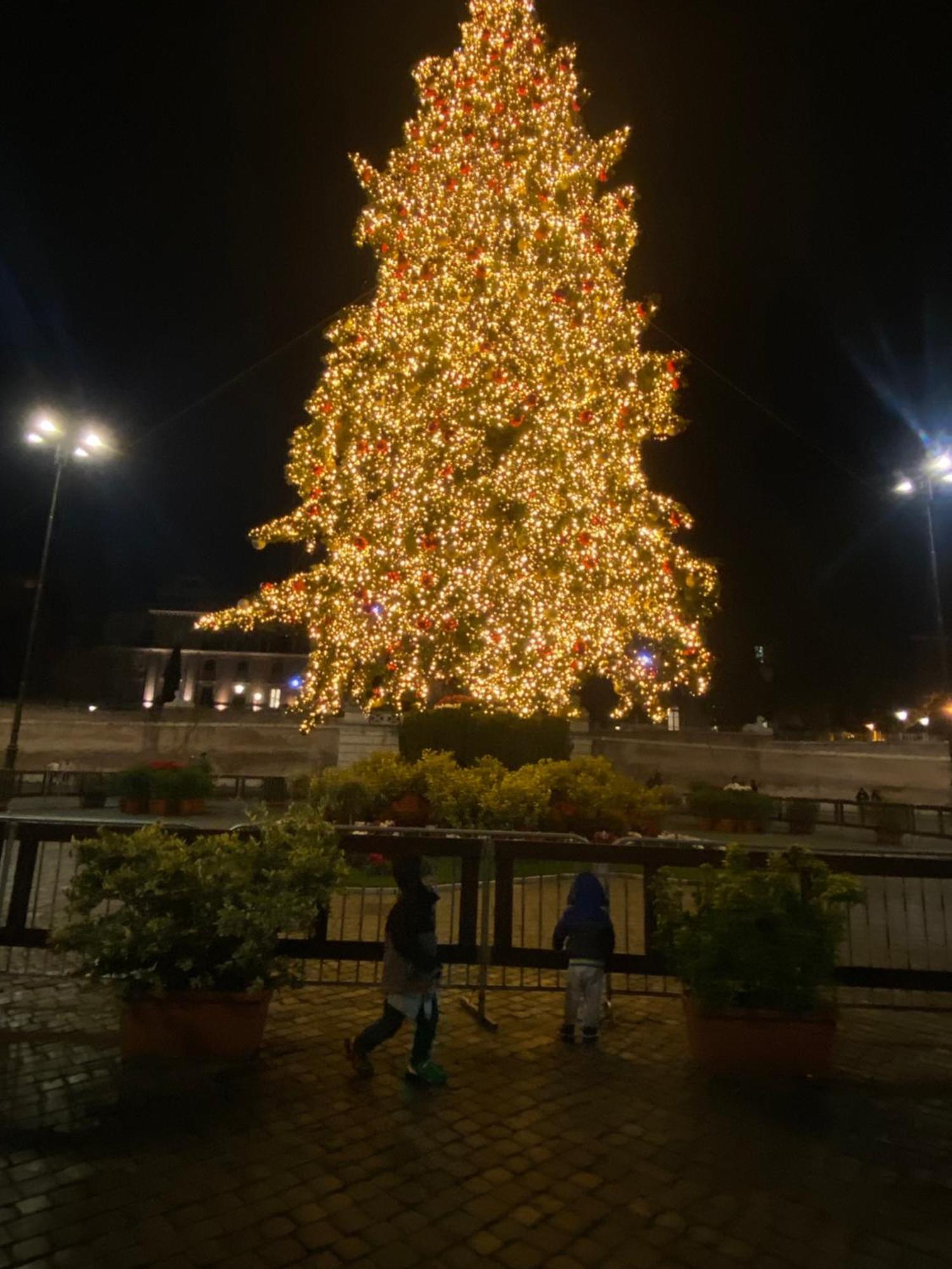 Domum Vaticani โรม ภายนอก รูปภาพ